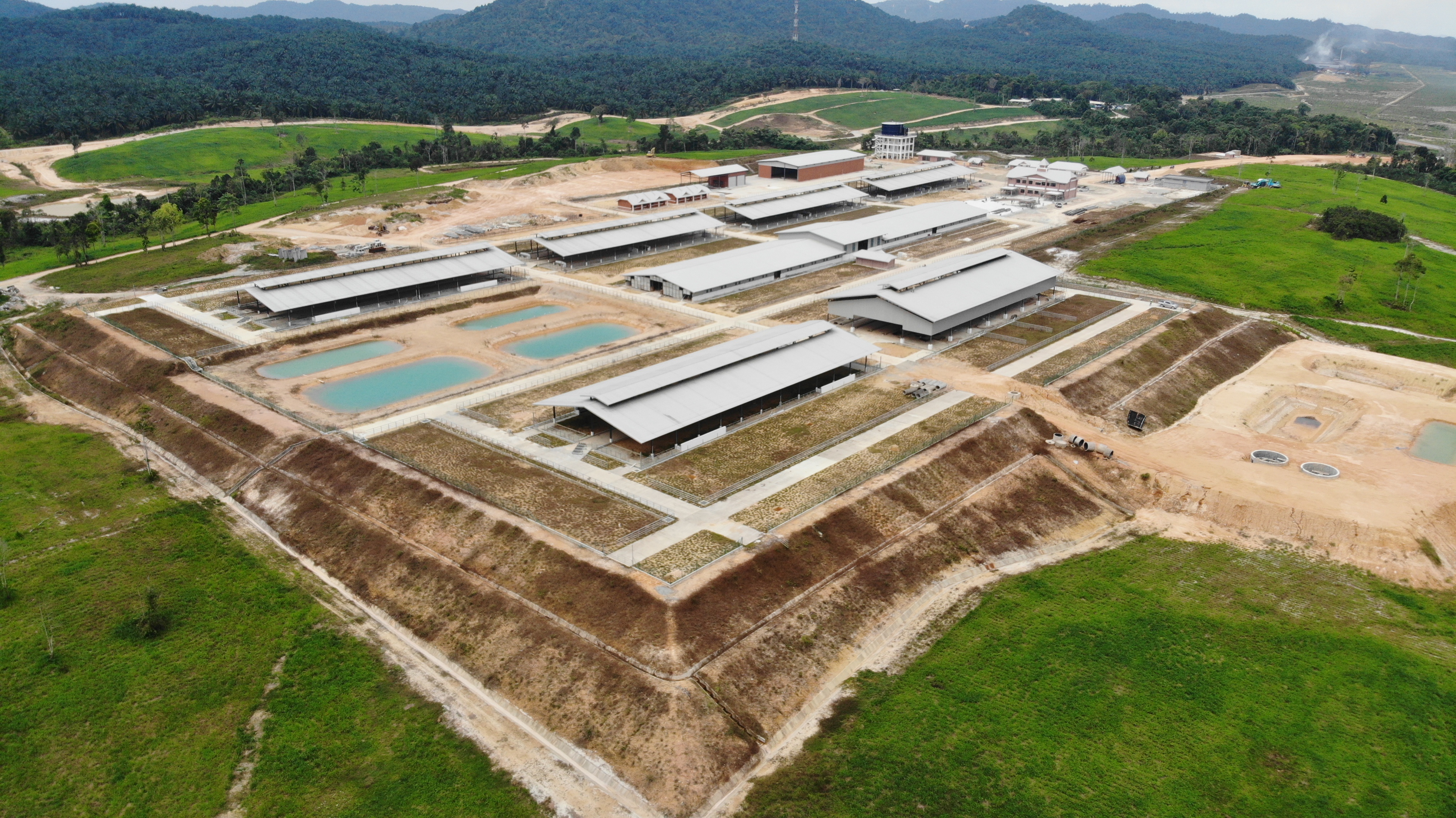 Jemaluang Dairy Valley, Johor - Image 2